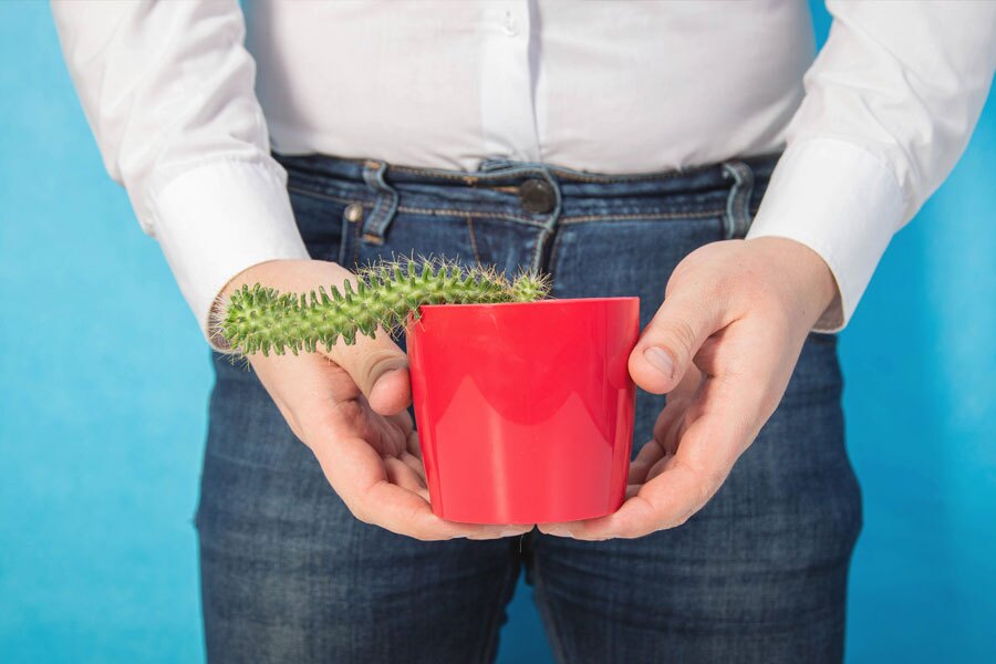 man holding bent over cactus in front of groin